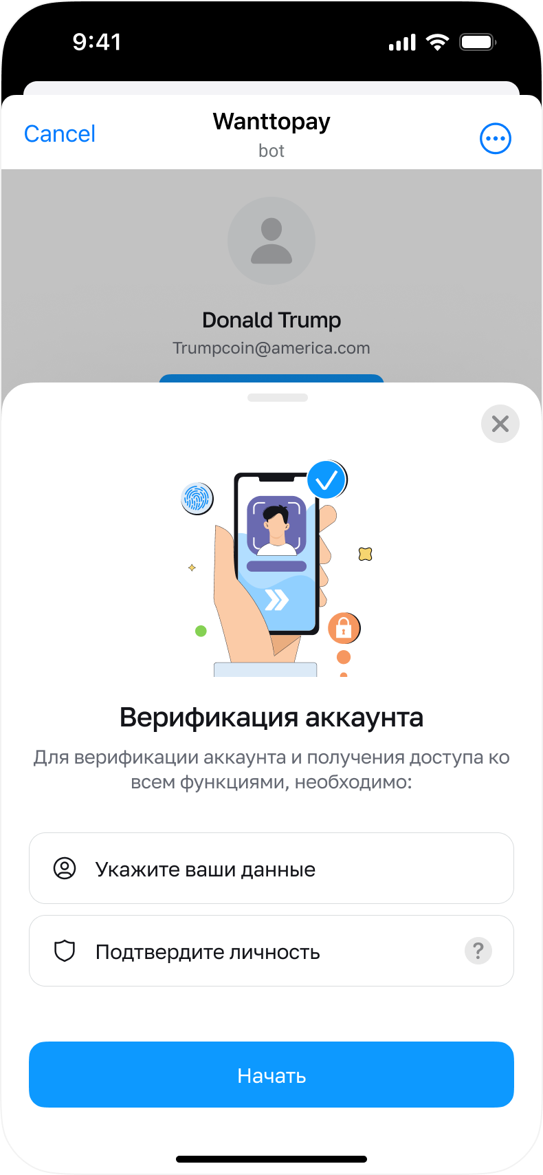 Шаг 3: окно верификации аккаунта в мини-приложении